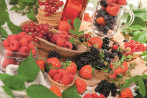 Vente flash de Petits fruits & Arbres Fruitiers - Du 27 avril au 6 mai 23h00